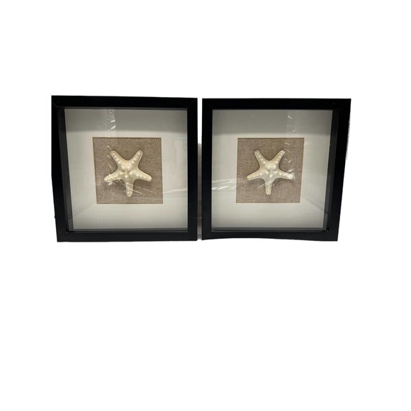 Mounted Dried Starfish In Black Square Frames Set of 2 - Picture 1 of 2
